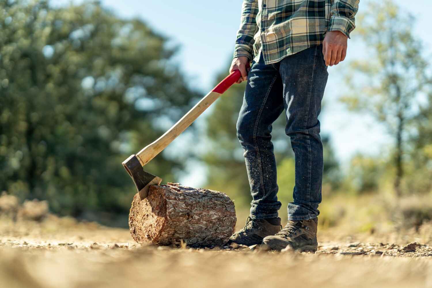 Tree Branch Trimming in Corralitos, CA